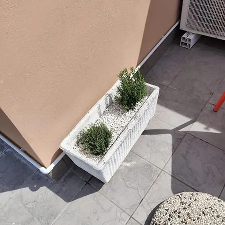 La Soffitta Sul Golfo Apartman *